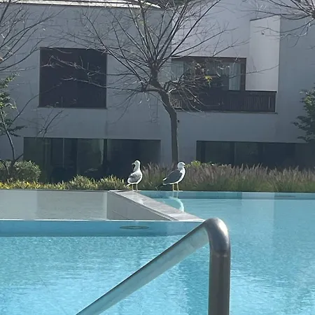 Serenity-first 阿尔布费拉