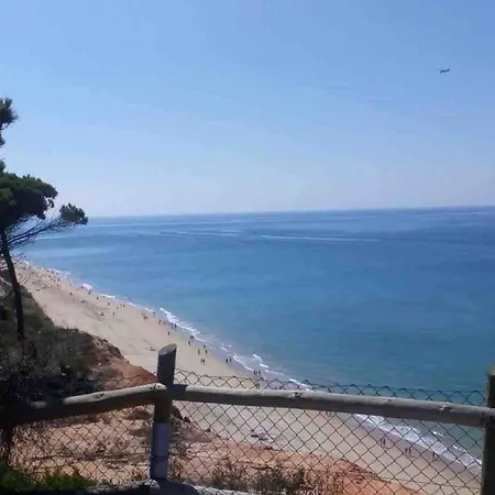 Serenity-first 度假居 *