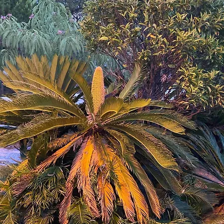 度假居 Serenity-first 阿尔布费拉