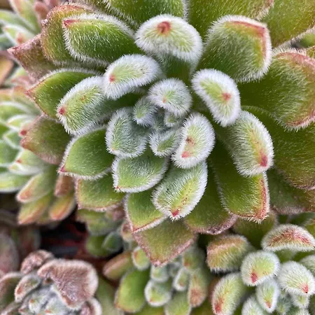 度假居 Serenity-first