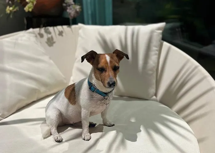 Semesterbostad Serenity-first *