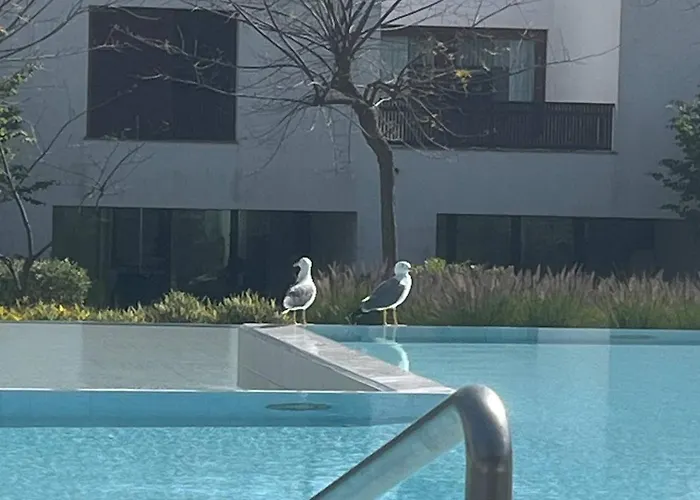 Serenity-first Albufeira