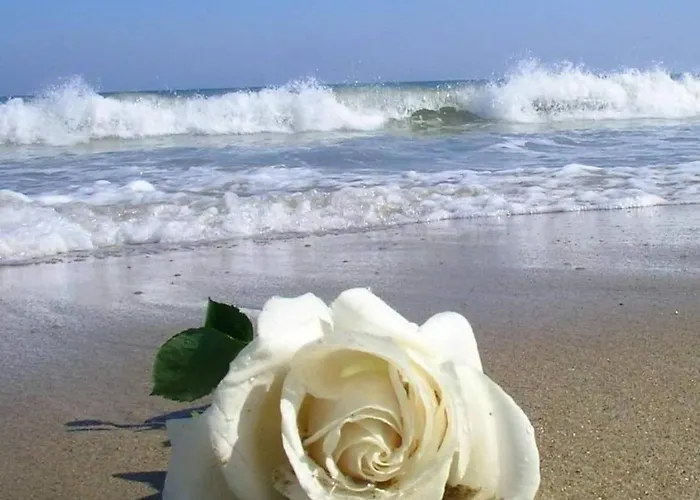 Semesterbostad Serenity-first