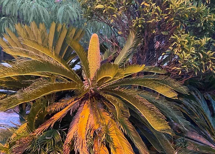 Semesterbostad Serenity-first Albufeira