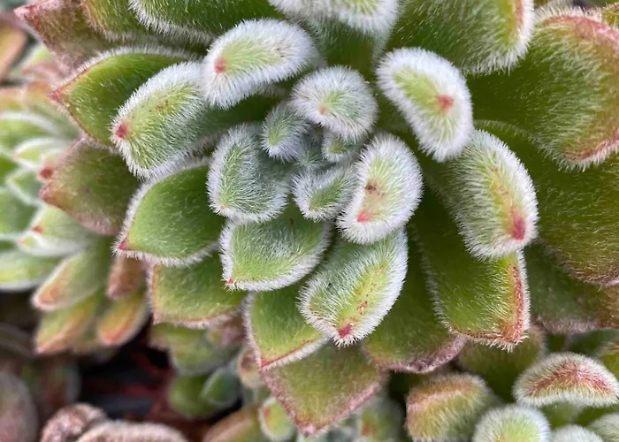 Semesterbostad Serenity-first