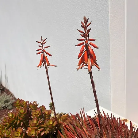 Serenity-first 펜션 알부페이라