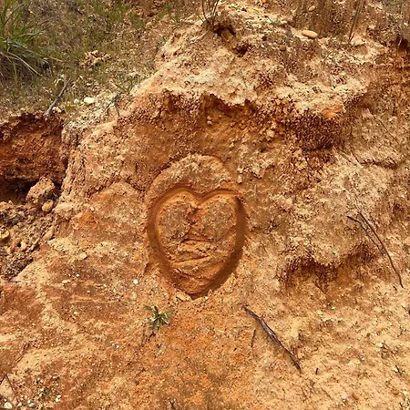 Serenity-first * 알부페이라