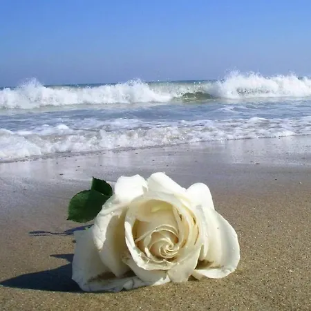 펜션 Serenity-first