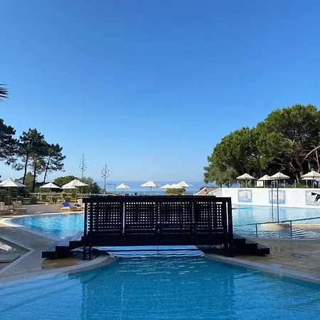 Serenity-first * 알부페이라