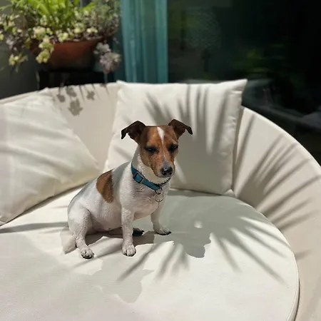 Dom wakacyjny Serenity-first *